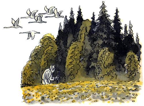 старик в поле