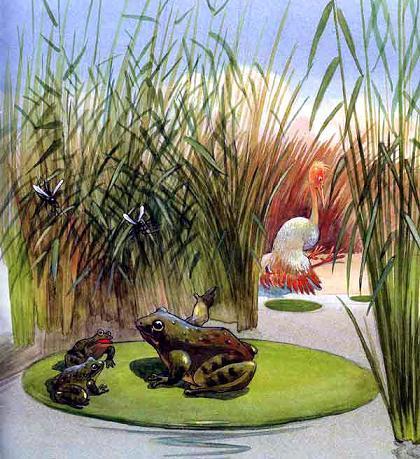 лягушка на листе кувшинки