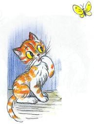 Сказка: Котенок который забыл как просить есть (иллюстрации: Сутеев В.) котенок и бабочка