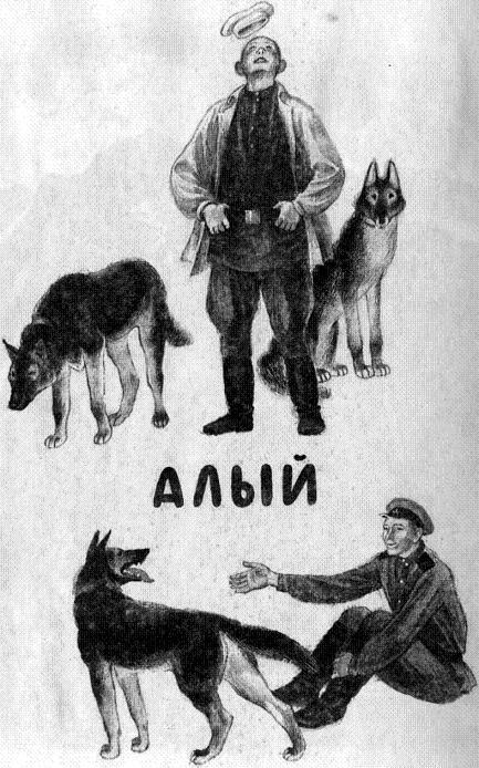 Алый