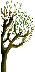 Альпийские сказки