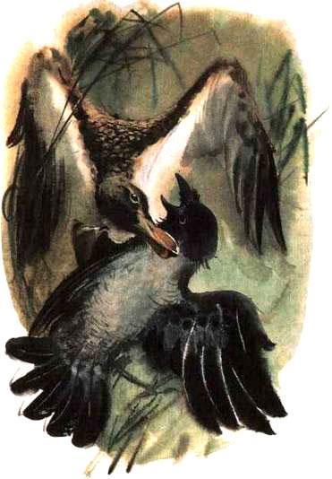 Анюткина утка (рассказ) Анюткина утка напала на ворону