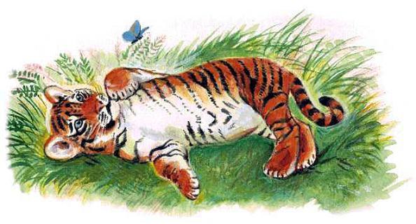 тигренок и бабочка