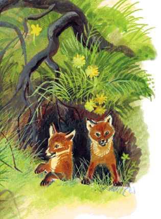 Азбука живой природы Лисята