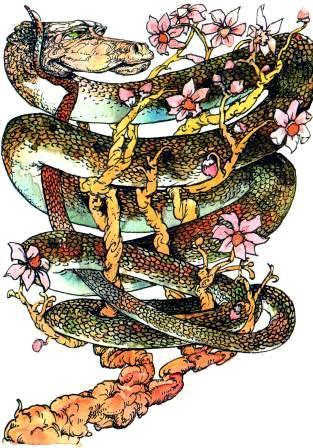 Бабушка удава (повесть) удав