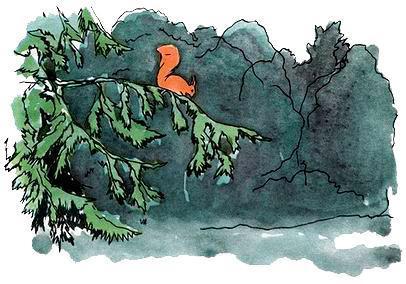 Бабушкин колобок (рассказ) белка на ветке