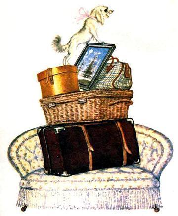 Диван чемодан картина корзина картонка и маленькая собачонка