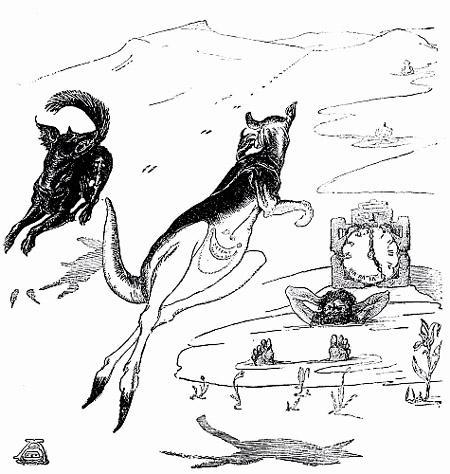 Баллада о Плясуне Кенгуру Баллада о Плясуне Кенгуру