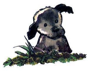 Барбара и летние собаки