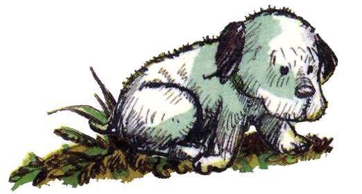 Барбара и летние собаки