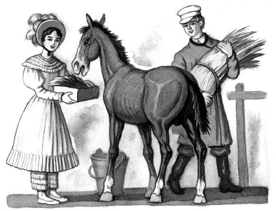 Бедный Гнедко