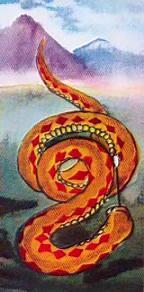 Бедняк и голубка