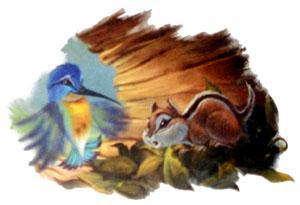 Бек и большая ягодная битва (сказочная повесть) бурундук и Твиттер