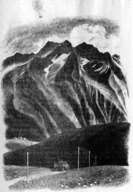 Белая лошадь img 03