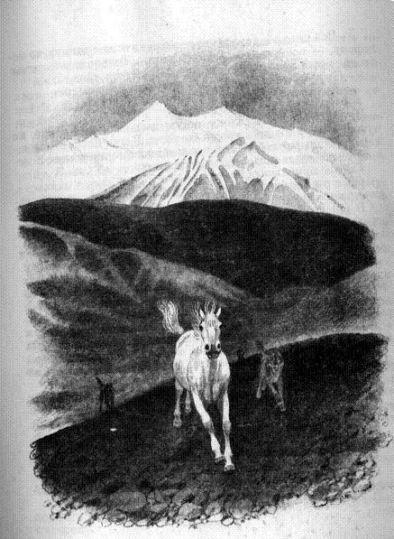 Белая лошадь Белая лошадь