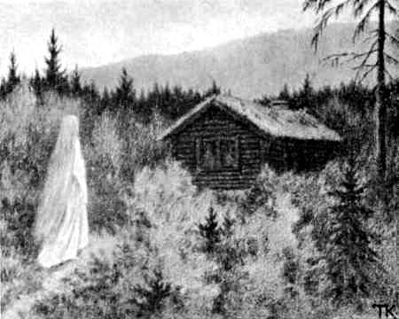 Белый медведь король Валемон (сказка) дом в лесу