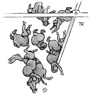 Белый медведь король Валемон (сказка) падение