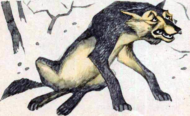 Белка и волк