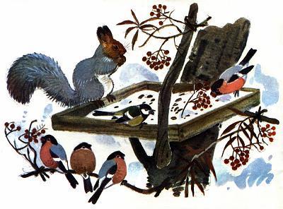 Белка ловко вскочила на дощечку, огляделась по сторонам и принялась за еду