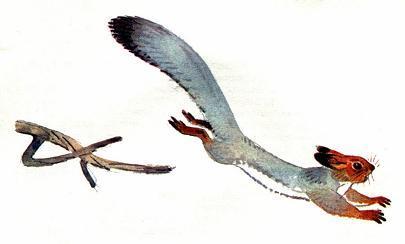 Ведь лиса нашла не мышь, не зайчонка, а ёжика