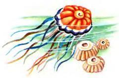 Белоснежка в подводном царстве (повесть) медузы