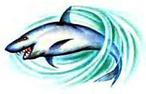 Белоснежка в подводном царстве (повесть) акула