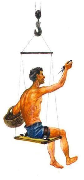 Бережок (рассказы и стихи) ласточка в руках