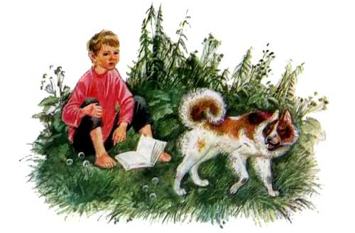 Бишка мальчик и собака