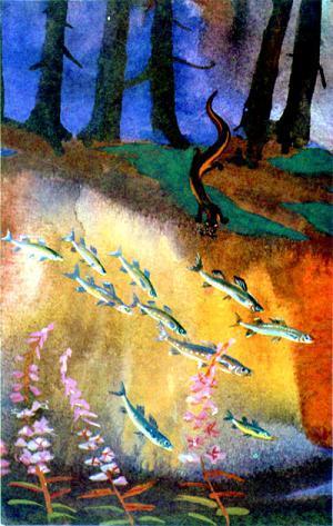 Бобровая речка (сказка) Бобровая речка