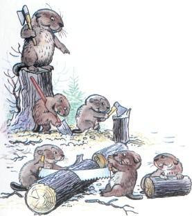 Стих: Бобёр (иллюстрации: Сутеев В.) бобры рубят и пилят дерево дрова