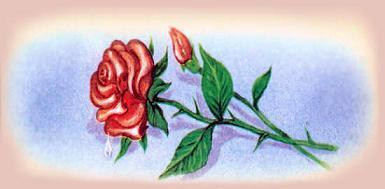 Боги и герои мифов древней Греции: Адонис Адонис