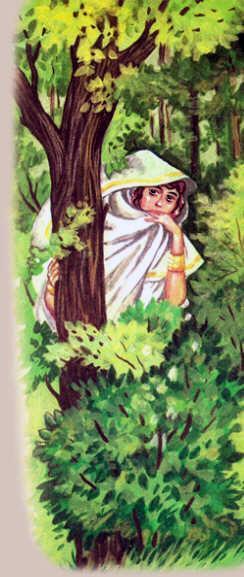 Нарцисс и Эхо