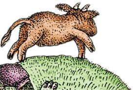 Борода графа 03