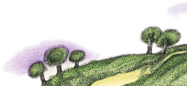 Борода графа 05