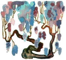 Бухта Барахта