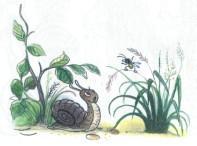 Сказка: Букашка которая хотела стать большой (иллюстрации: Сутеев В.) улитка и букашка мушка