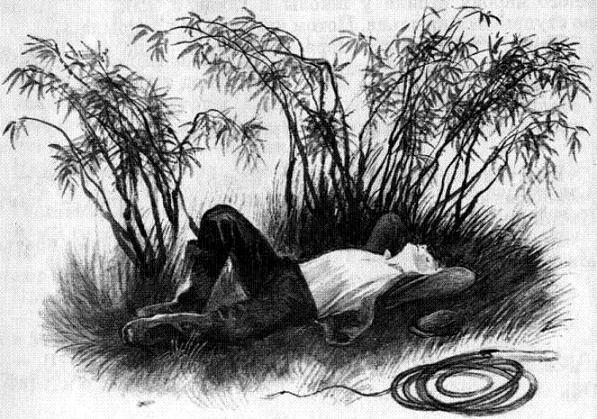 Бунькины рога