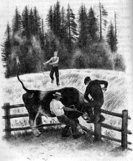 Бунькины рога