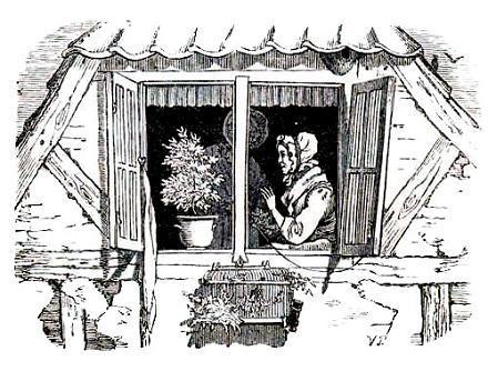 Бутылочное горлышко (сказка) цветок на окне и старушка