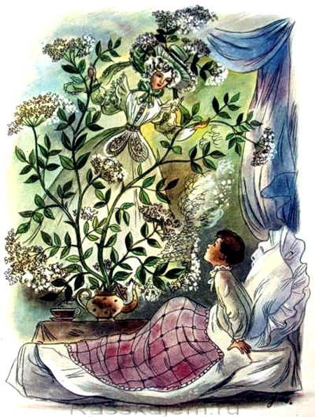 Бузинная матушка (сказка) 2