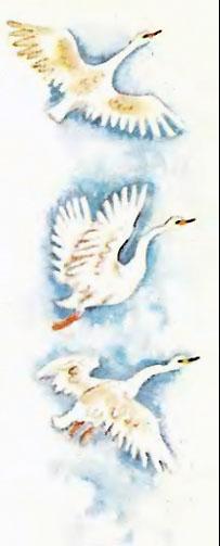 Царевна лягушка (русская сказка) 12