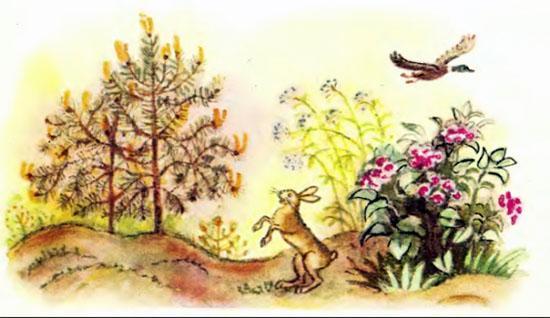 Царевна лягушка (русская сказка) 11