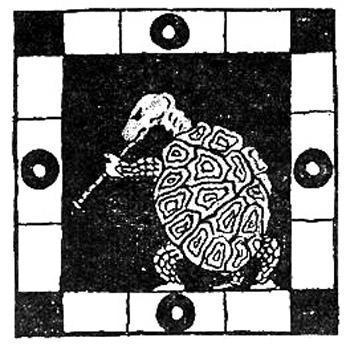 Черепаха и человек 