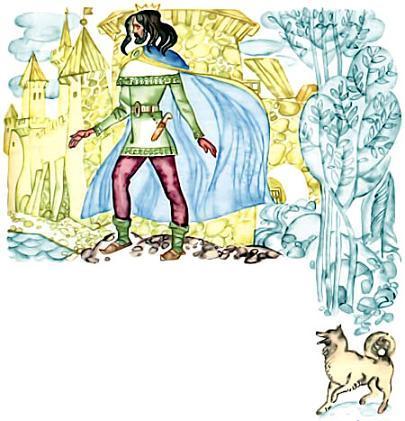 Черная уточка