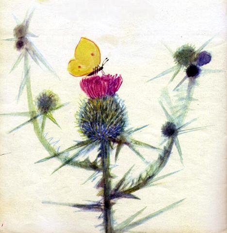 Чертополох