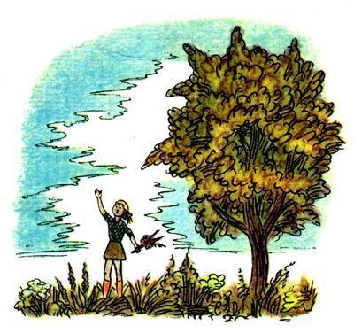 Честное гусеничное (рассказ) И она весело закружилась над лугом