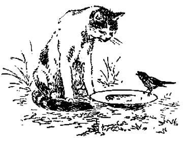 Чир Чирыч (рассказ) 061