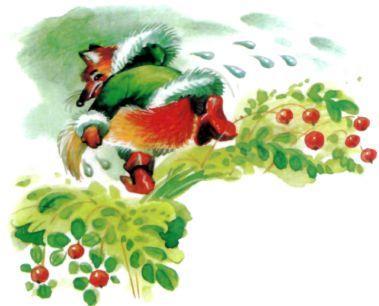 мокрый лис убежал в тундру