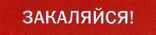 Что делать, если... Что делать, если...