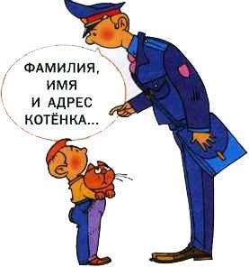 Что делать, если... Что делать, если...